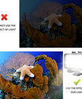 Comparison of underwater scene without and with Underwater Video Light With 72 LED Five Color Modes Waterproof To 45m.