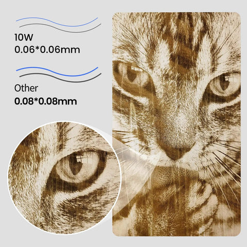 Detailed engraving of a cat's face showing precision with RAY5 10W Laser Engraver Bundle With Air Assist Kit And 3.5 Inch Touch Screen