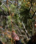 Person using Bear Bag Food Hanging System For Camping And Hiking With 2 To 1 Pulley Waterproof Food Bag Paracord Ropes Rock Sok Carabiners