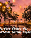 30 Pack Q Hanger Hooks With Safety Buckle Windproof Screw Hooks For Hanging Outdoor String Lights at sunset patio scene