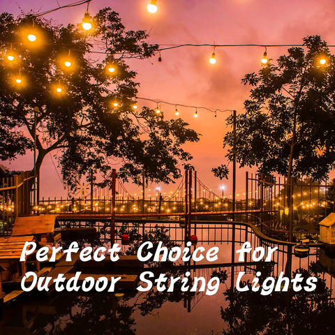 30 Pack Q Hanger Hooks With Safety Buckle Windproof Screw Hooks For Hanging Outdoor String Lights at sunset patio scene