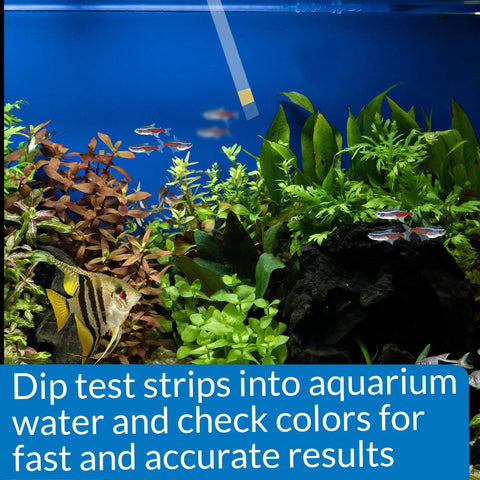 Ammonia Test Strips For Freshwater And Saltwater Tanks 25 Test Box used in aquarium with colorful fish and plants.