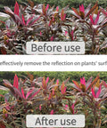 52mm CPL Filter For Phone And DSLR Cameras, Pro Grade Circular Polarizer With Universal Clip, before and after use on plants