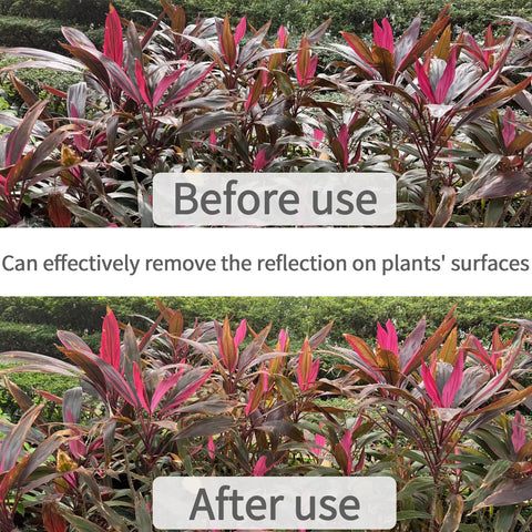 52mm CPL Filter For Phone And DSLR Cameras, Pro Grade Circular Polarizer With Universal Clip, before and after use on plants