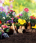 Two Pack 10.6 Inch 3 Tine Garden Forks Carbon Steel Thickened Hardened Digging Pitch Fork For Weeding Transplanting Soil Loosening And Planting In Backyard Farm Gray next to blooming garden plants and yellow boots.