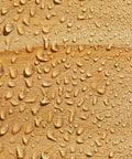 Wood with water droplets showing effect of One Coat Wood Sealer Cream Clear One And A Half Gallon Outdoor Treatment That Weatherproofs