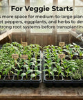 10 Pack 72 Cell Seed Starter Trays With 1.75 Inch Deep Plugs For Seedlings in greenhouse with vegetable starts, fits 1020 drip tray