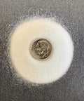 Glass Beads Sandblasting Media Number Six Coarse 50-70 Grit 10 Lbs alongside a dime on dark surface