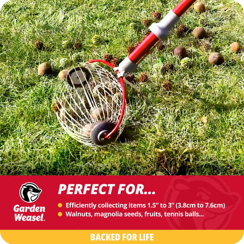 Workhorse Yard Cleanup Roller With Roomy Collection Bin That Snags Walnuts Apples And Tennis Balls Straight Away on grass with collected debris.