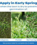 All Season Crabgrass And Grassy Weed Preventer For Lawns Pre Emergent Weed Control That Stops Chickweed apply in spring