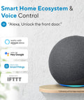 Smart speaker enabling voice control for Five In One WiFi Smart Lock With Door Sensor For Front Door Keyless Entry App Remote Bluetooth