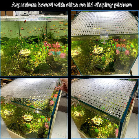 Six Piece Rock Solid Aquarium Lid Clips For Rimless Fish Tanks Heavy Duty Glass And Acrylic Top Hood Brackets with aquarium scene and lid