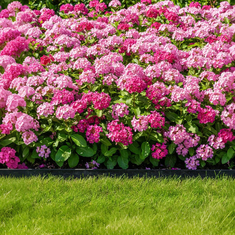 Easy Install Garden Edging Border 50 Ft No Tool Required 2 Inch Flexible Landscape Edging With 48 Stakes Plastic Lawn Border