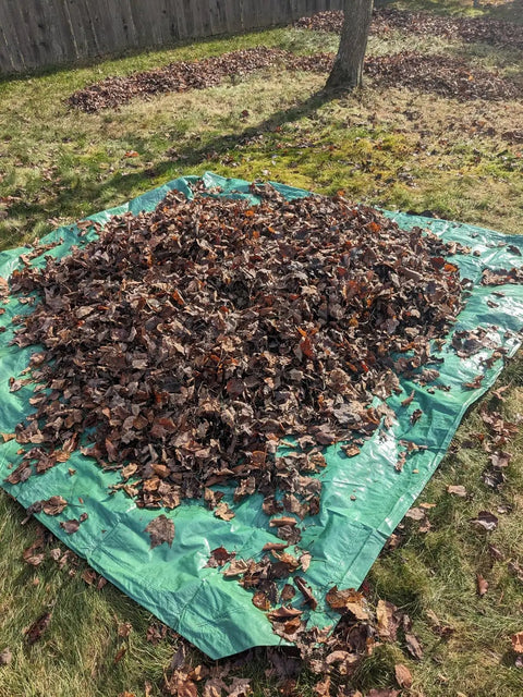 Drawstring 9x9 Tarp For Leaves And Outdoor Use With Cinch Bag Easy Cleanup Heavy Duty Cover Tarp spread on grass with leaves