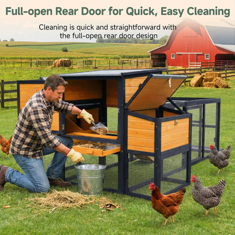 Man cleaning large backyard wooden chicken coop with run for four to six chickens, featuring rear door and ventilation window.