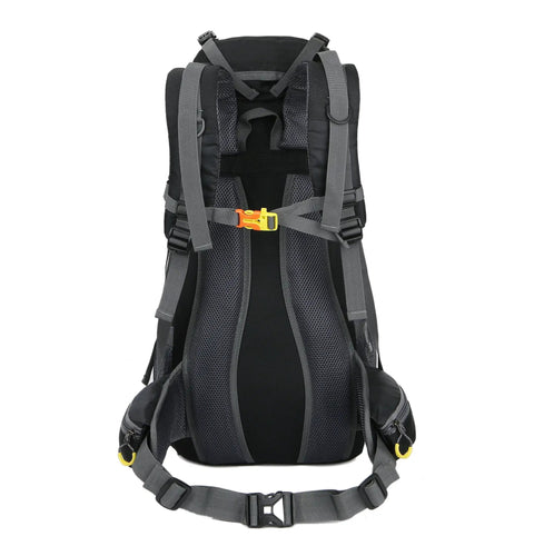 Back view of 50L Waterproof Hiking Backpack with Rain Cover for Outdoor Adventures, showing straps and mesh padding.