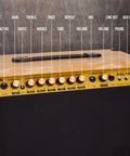 Control panel of 40W Electric Guitar Amp With 8-Inch 4-Ohm Speaker, Custom EQ, Drive, Delay, Passive and Active Mic Inputs