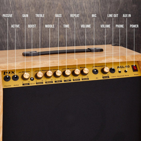 Control panel of 40W Electric Guitar Amp With 8-Inch 4-Ohm Speaker, Custom EQ, Drive, Delay, Passive and Active Mic Inputs