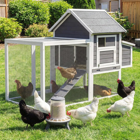 Outdoor chicken coop with Heavy Duty 16 Inch By 10 Foot Half Inch 19 Gauge Galvanized Welded Chicken Wire Mesh Roll for poultry enclosures.