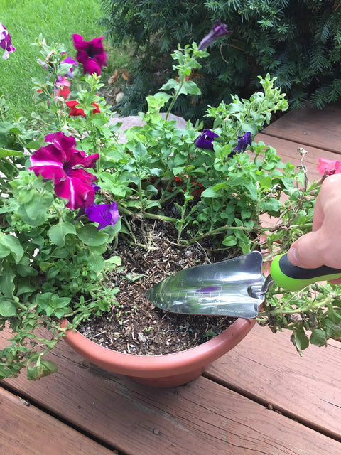 Person using Transplanter Trowel Shovel For Gardening Stainless Steel Rust Resistant Ergonomic Grip Hand Shovel Tool to plant in pot