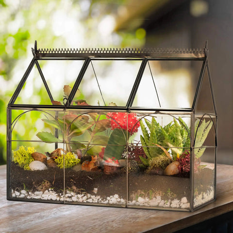 Glass Greenhouse Centerpiece Terrarium For Tabletop Decor With Black Brass Accents, Ideal Wedding Letterbox Display, Space For Succulents Moss And Flowers, Totally Chic Indoor Plant Lover Gift For Spring Home Decor