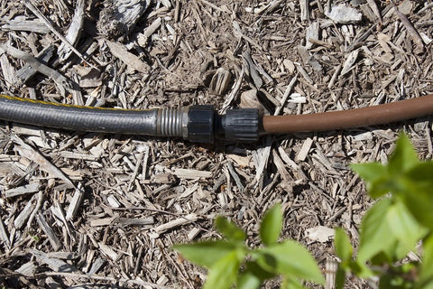 Drip irrigation tubing-to-hose adapter, 1/2 in, black plastic quick-connect fitting on mulch