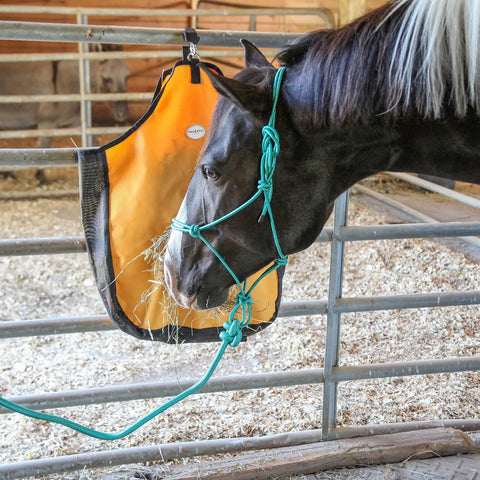 Four Knot Stiff Polyester Training Halter With Ten Foot Matching Lead For Horses Fully Adjustable And Built For Rough Wear
