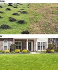 Before and after using Heavy Duty Stainless Steel Lawn Leveler Rake With 30 By 10 Inch Ground Plate And 78 Inch Adjustable Handle