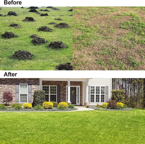 Before and after using Heavy Duty Stainless Steel Lawn Leveler Rake With 30 By 10 Inch Ground Plate And 78 Inch Adjustable Handle