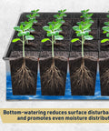 Galvanized Metal Seed Starter Tray With 24 Removable Pots showing seedling growth and root system in germination kit for sprouting.