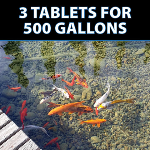 MuckOff Pond Muck Treatment tablets for 500 gallons, natural bacteria and enzymes, visible koi fish in clear pond water.