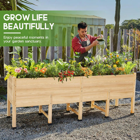 Man watering plants in a 7x2 Ft Raised Garden Bed With 16 Inch Depth And Legs, Drainage Holes, Perfect For Deep Rooted Veggies and Herbs.