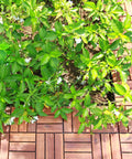 Teak Interlocking Patio Deck Tiles Set of 10 12 Inch by 12 Inch Outdoor Wood Flooring Mats for Porch next to green plants.