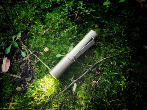 Pocket Size EDC Flashlight With Clip 92 Plus CRI Natural Light illuminating foliage on forest floor