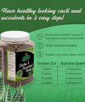 Cactus And Succulent Plant Food For Indoor And Outdoor Plants No Fuss Low Maintenance Fertilizer That Feeds Every Other Month All Purpose Cacti Fertilizer With Rich Nutrients For Healthy Growth 4 lb jar