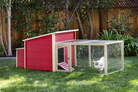 Fontana Jumbo Chicken Pen EcoFlex Outdoor Enclosure With Stainless Steel Wire Predator Resistant Lock in backyard setting