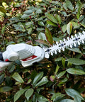 Cordless 2 In 1 Grass And Shrub Shear With Seven Point Two Volt 2000mAh Battery Delivers 1300 Cuts Per Minute trimming hedge