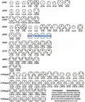 Diagram of various electrical outlet types, including Nema configurations for Straight Shooter Eva Charger Cable Adapter links.