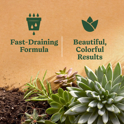 Top Shelf Indoor Potting Mix For Cactus And Succulents Featuring Sweet Roots Development With Rapid Drainage Sand Perlite And Peat Moss Formula Plus Loaded Plant Food For Ace Houseplants In 8 Quart Packs visual representation with succulents and fast-draining formula icons.