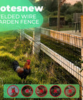 Vinyl Coated Welded Wire Garden Fence Roll 48 Inch by 100 Foot 2 Inch by 3 Inch Mesh 16 Gauge Rust Resistant PVC Coated Steel Mesh