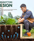Wood Raised Garden Bed 8x4 Ft With 15 Inch Depth Planter Box For Veggies, Herbs, And Blooms, Open Base Construction