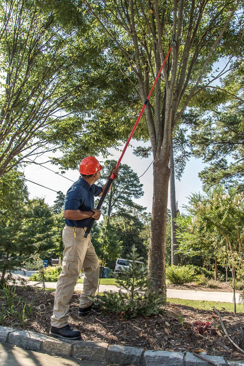 Man using 14 Foot Extendable Tree Pruner With RazorTOOTH DualCOMPOUND Action on tall tree branch outdoors