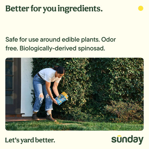 Person applying Ant Adios Outdoor Bug And Ant Killer with Spinosad in garden, emphasizing easy yard insect control.