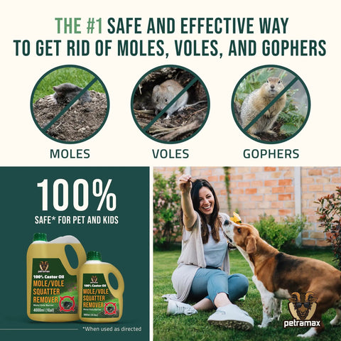 Castor Oil Mole And Vole Repellent For Lawns And Gardens, Safe Outdoor Deterrent That Really Keeps Moles Out, 33.8 Fl Oz