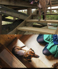 Clear Grippy Non Slip Stair Treads Tape 24x4 Inch 15 Pack For Indoor Outdoor Stairs Anti Slip Strips used by dogs on steps