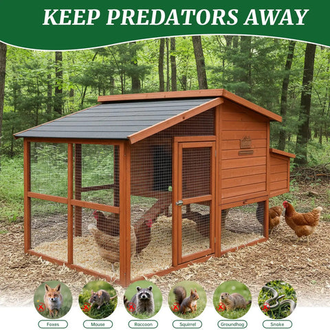 Outdoor chicken coop with marked predator symbols, showcasing 16 Inch By 50 Foot 19 Gauge Hardware Cloth With 1/2 Inch Mesh Galvanized Chicken Wire Fence.