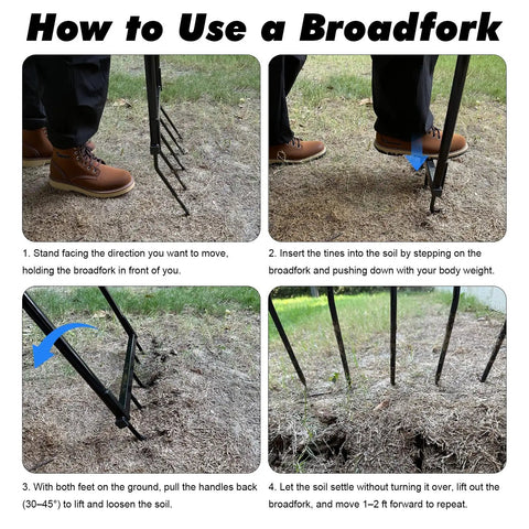 How to use Heavy Duty 5 Tine U Shaped Broadfork Garden Tool For Loosening Soil Without Disturbing Structure 20 Inch Wide 55 Inch Tall