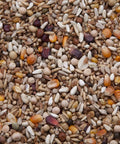 High Energy Pigeon Mix 16 Percent Protein For Racing Birds Energy Packed For Fast Gains Great For Young Pigeons 8 Lb Bag