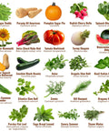 Seed Vault Bundle With 44 Heirloom Seeds For Vegetables Fruits And Herbs Non GMO Garden Kit for home gardeners, plant varieties displayed