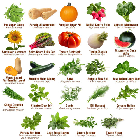 Seed Vault Bundle With 44 Heirloom Seeds For Vegetables Fruits And Herbs Non GMO Garden Kit for home gardeners, plant varieties displayed